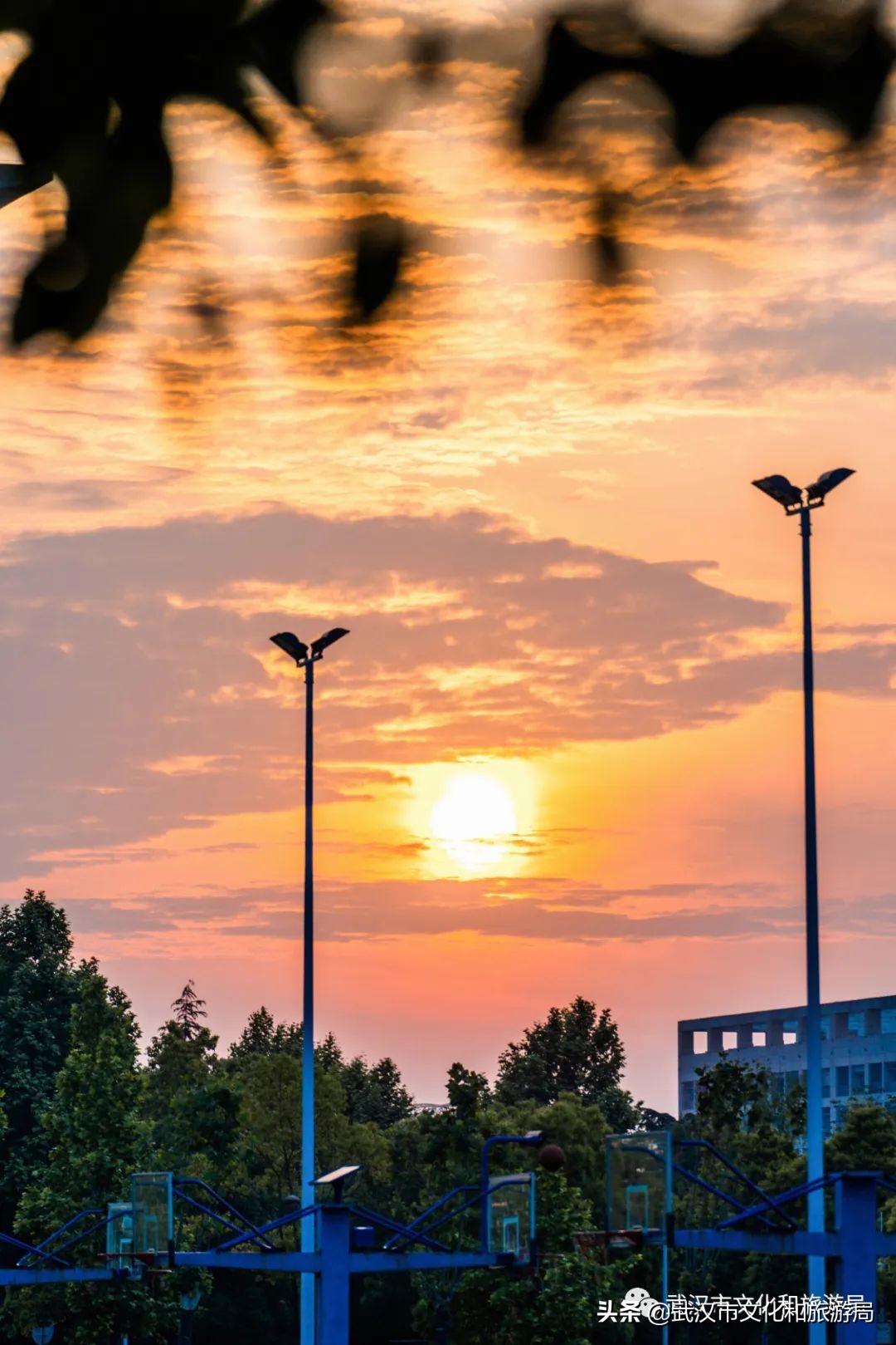 大江大湖千湖大武汉,大江大湖大武汉浩浩荡荡