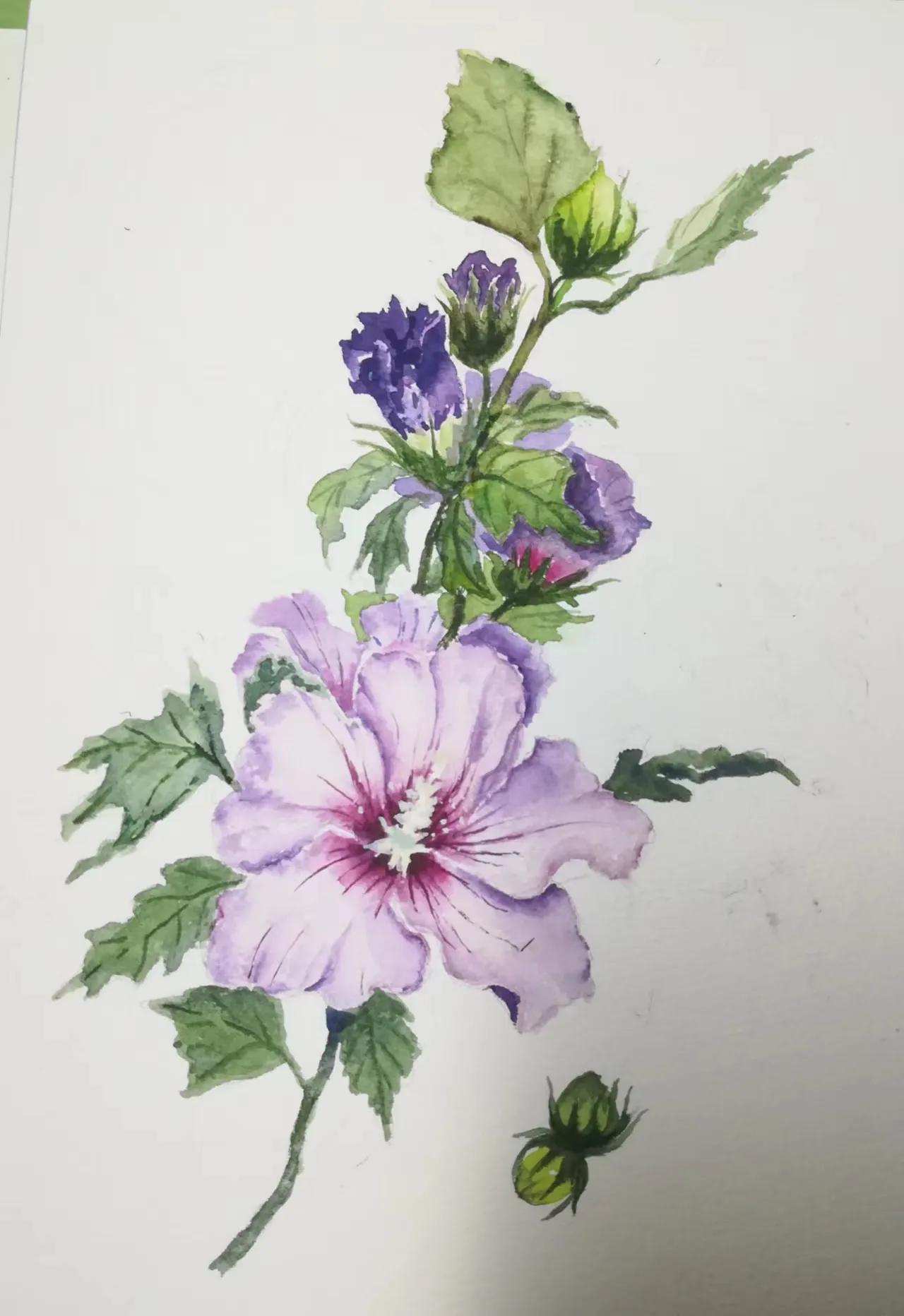 幸福画吧画友作品欣赏,幸福原创绘画作品欣赏