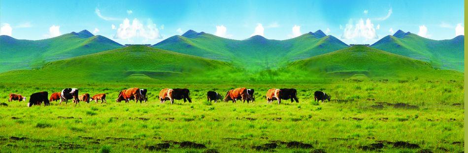 天然氧吧养生避暑,洗肺养心醒脑的天然大氧吧