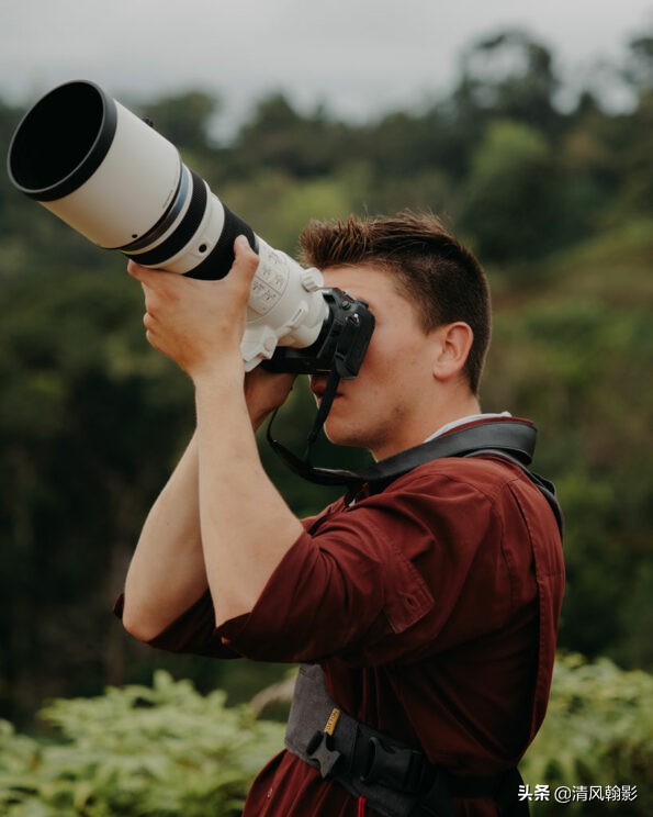 拍鸟买r5还是r6好,拍鸟买尼康