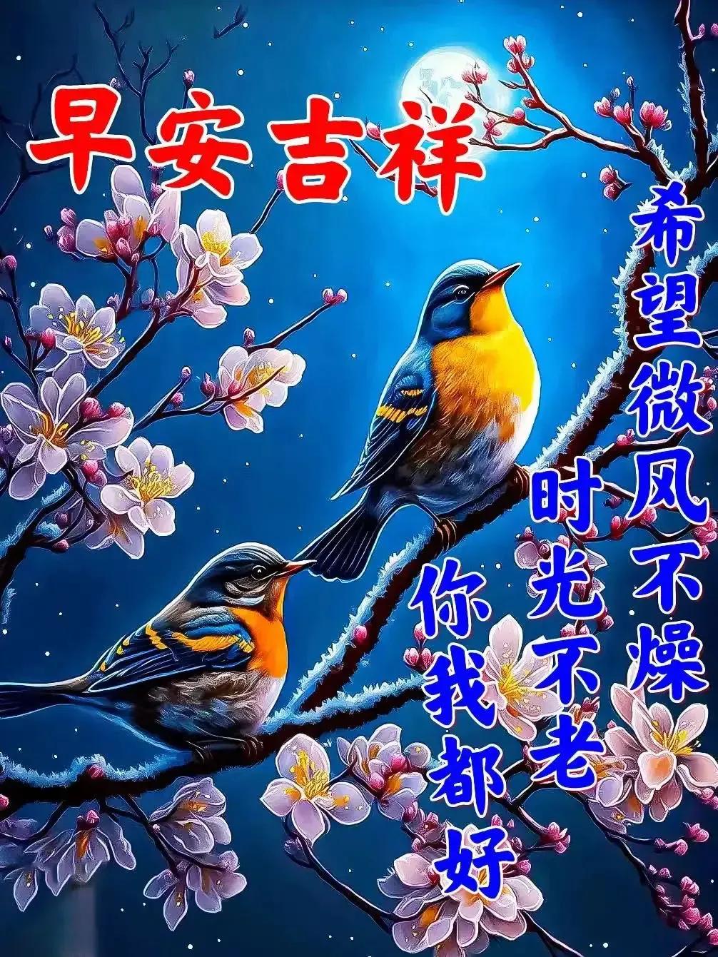 2023年02月27日星期一农历:癸卯年【兔年】二月初八八九第5天