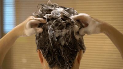 油头掉发适合的洗发水,油头发用什么洗发水好用