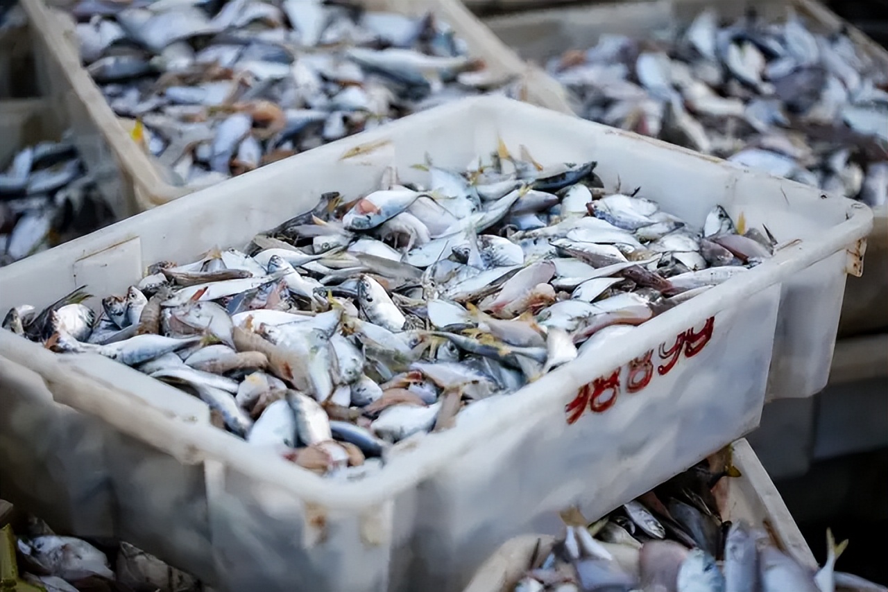 这50张照片就是努力的理由,一张图说明你去过防城港