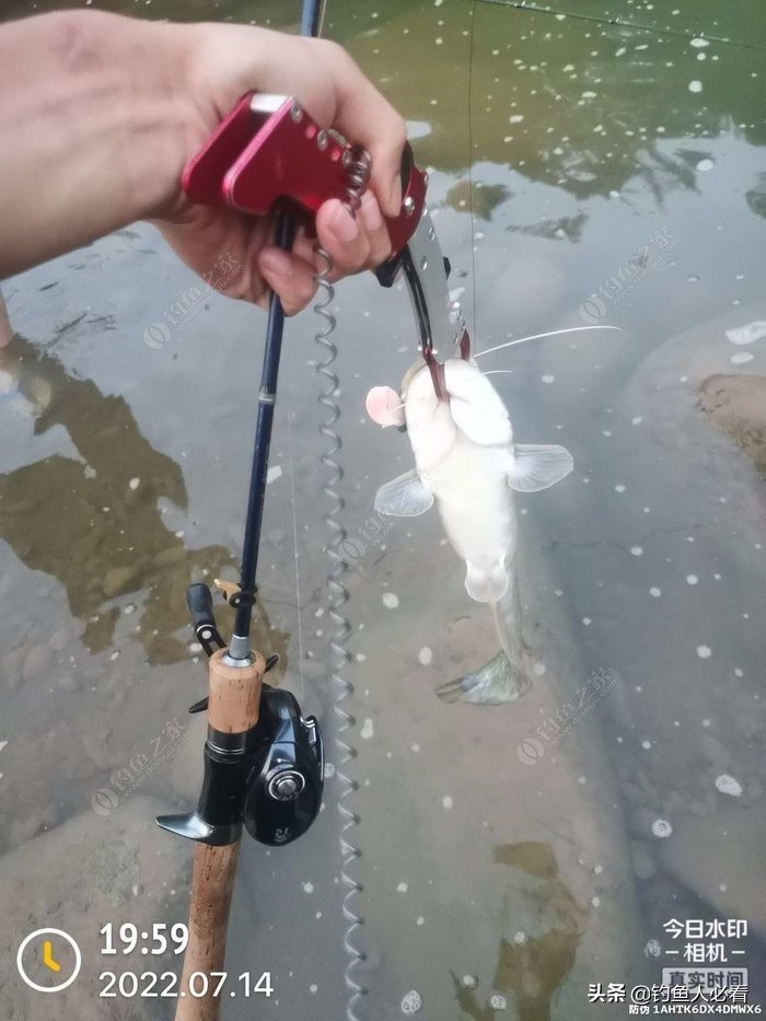 7鏈堥奔,7鏈堥奔浜у嵉