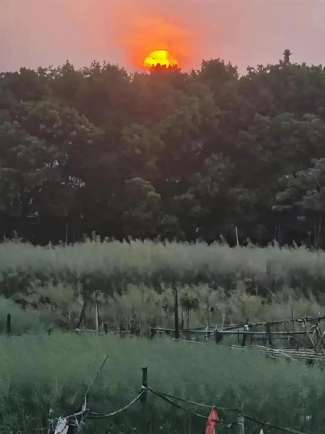 创业计划书图片,创业计划书怎么写