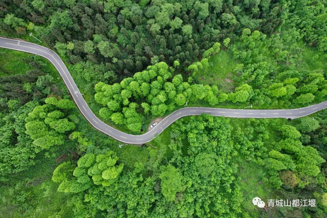 来都江堰的山间溪畔赴一场“好食光”！青山间的火锅店、花园里的小食堂......赏景美食两不误~