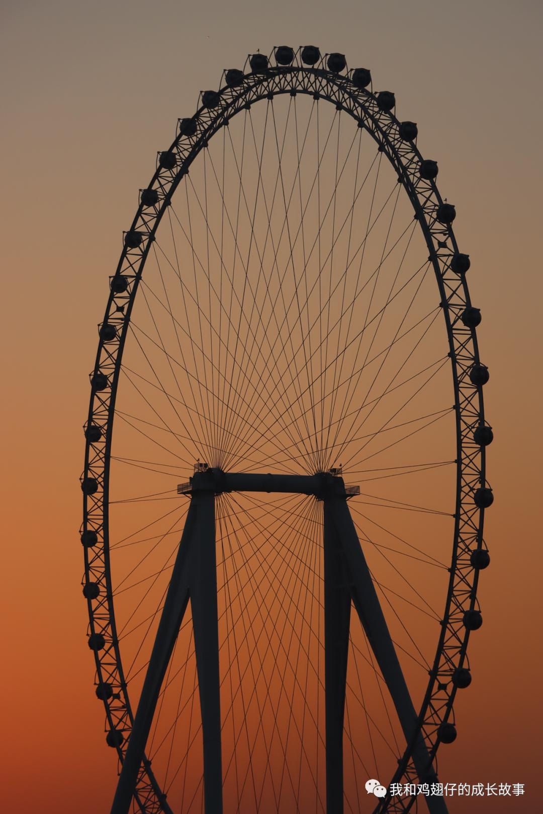 爱美丽推荐打卡第76|合肥必打卡|草坪+湖泊+游乐园+萌宠市集+花海