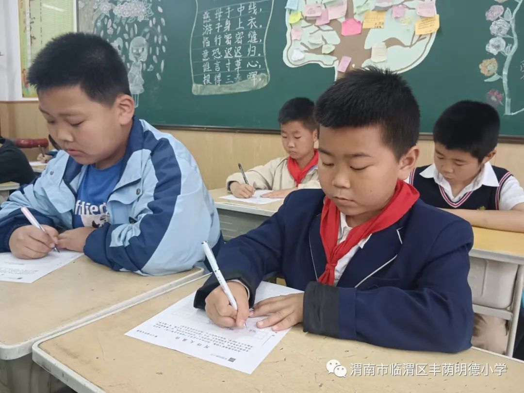 纸上风光正好真情笔端流淌——丰荫明德小学第二十届作文竞赛活动侧记