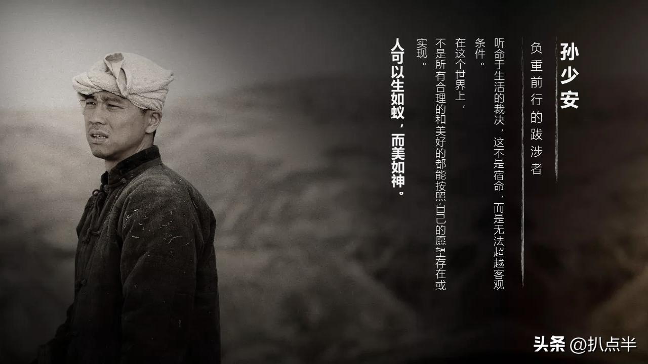 风吹半夏好剧推介,风吹半夏网剧分析