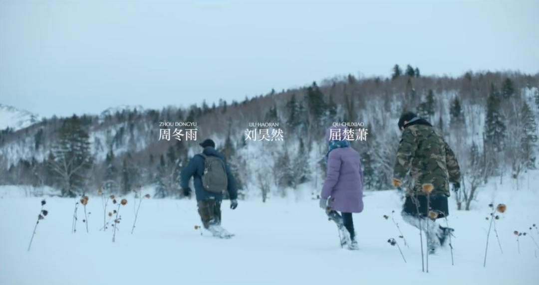 刘昊然和周冬雨戛纳燃冬采访,周冬雨刘昊然新电影杀青