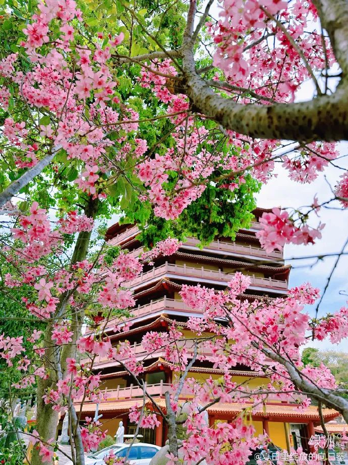 香港新晋的明星,现身厦门的香港明星