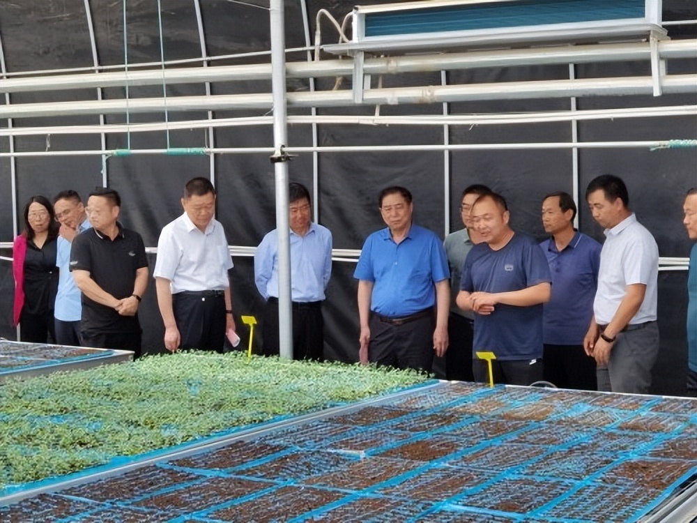 智慧农业助力丰产增收,智慧农业助力农民增收