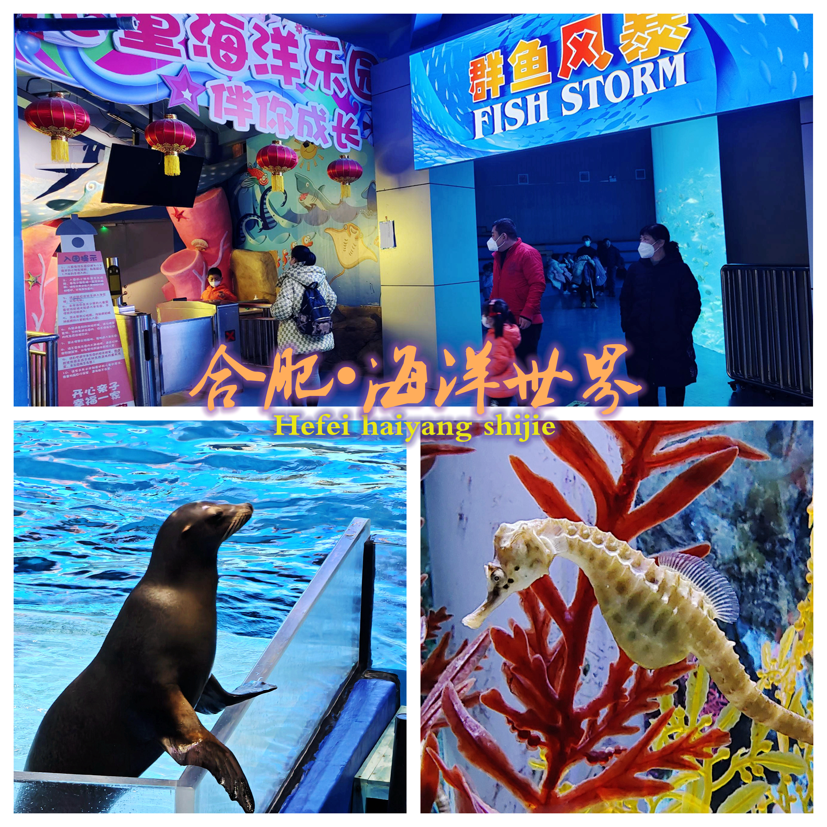 合肥海洋世界里面有儿童乐园吗,带娃去合肥海洋馆游玩攻略