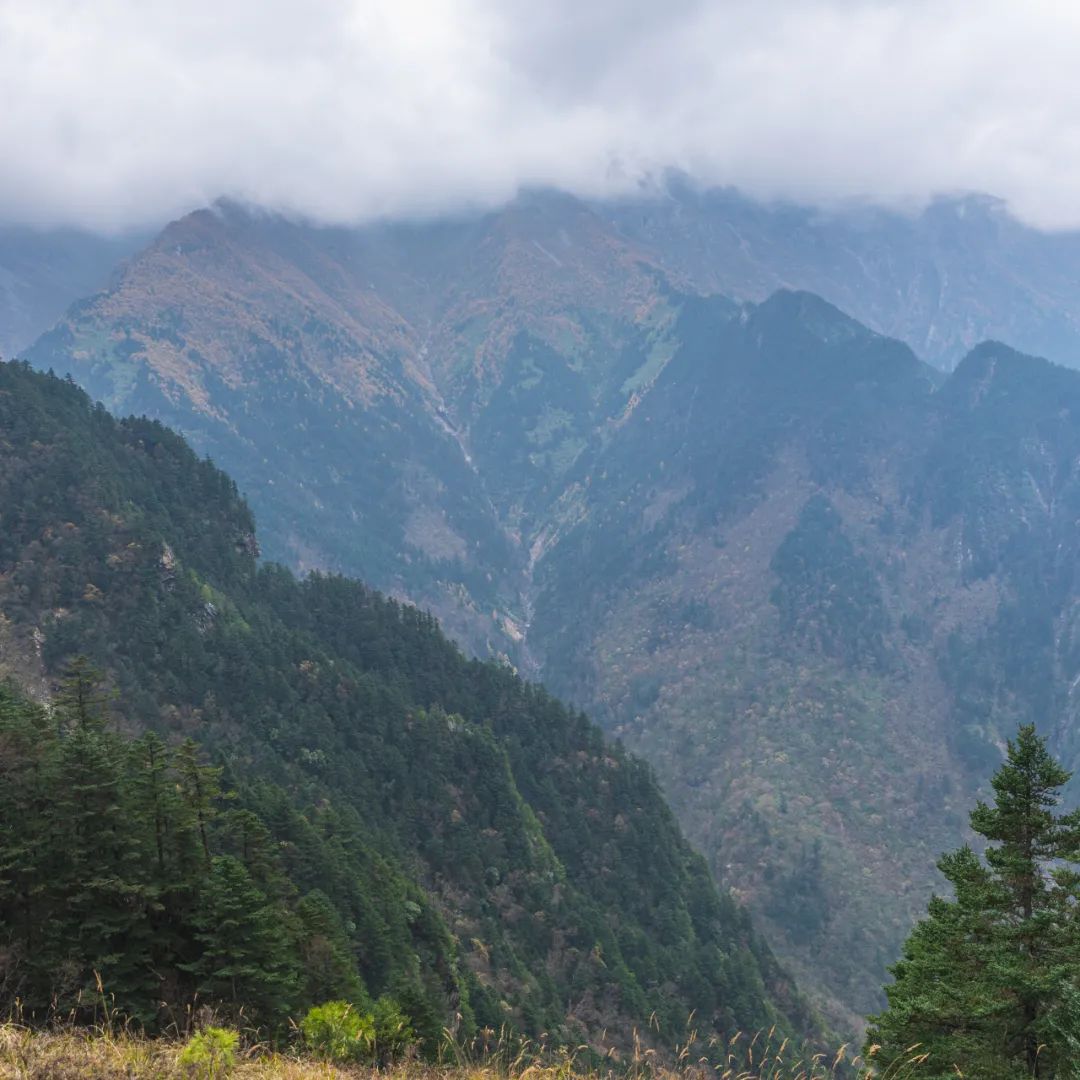 太白山是陕西最高点吗,秦岭最高峰太白山