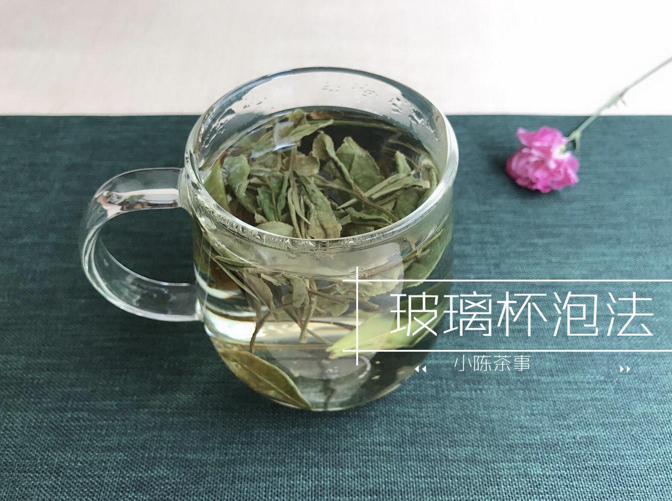 白茶的正确冲泡方法保温杯,玻璃杯白茶的正确冲泡方法