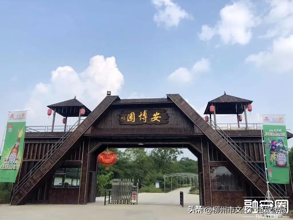 暑期旅游景区活动,暑期旅游优惠活动来啦