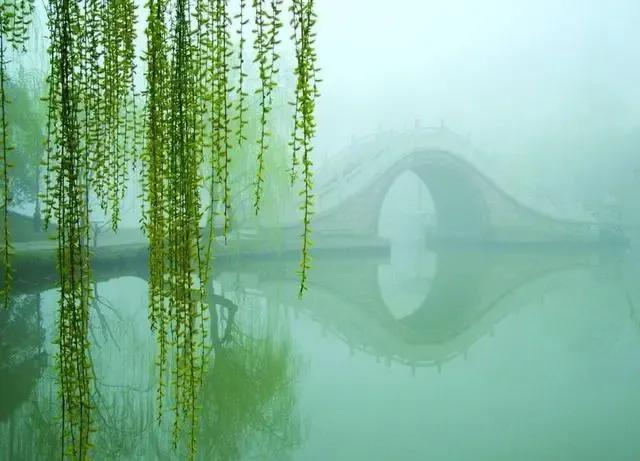 柔丝弄早春,柳枝婀娜醉春风,期盼好事要发生