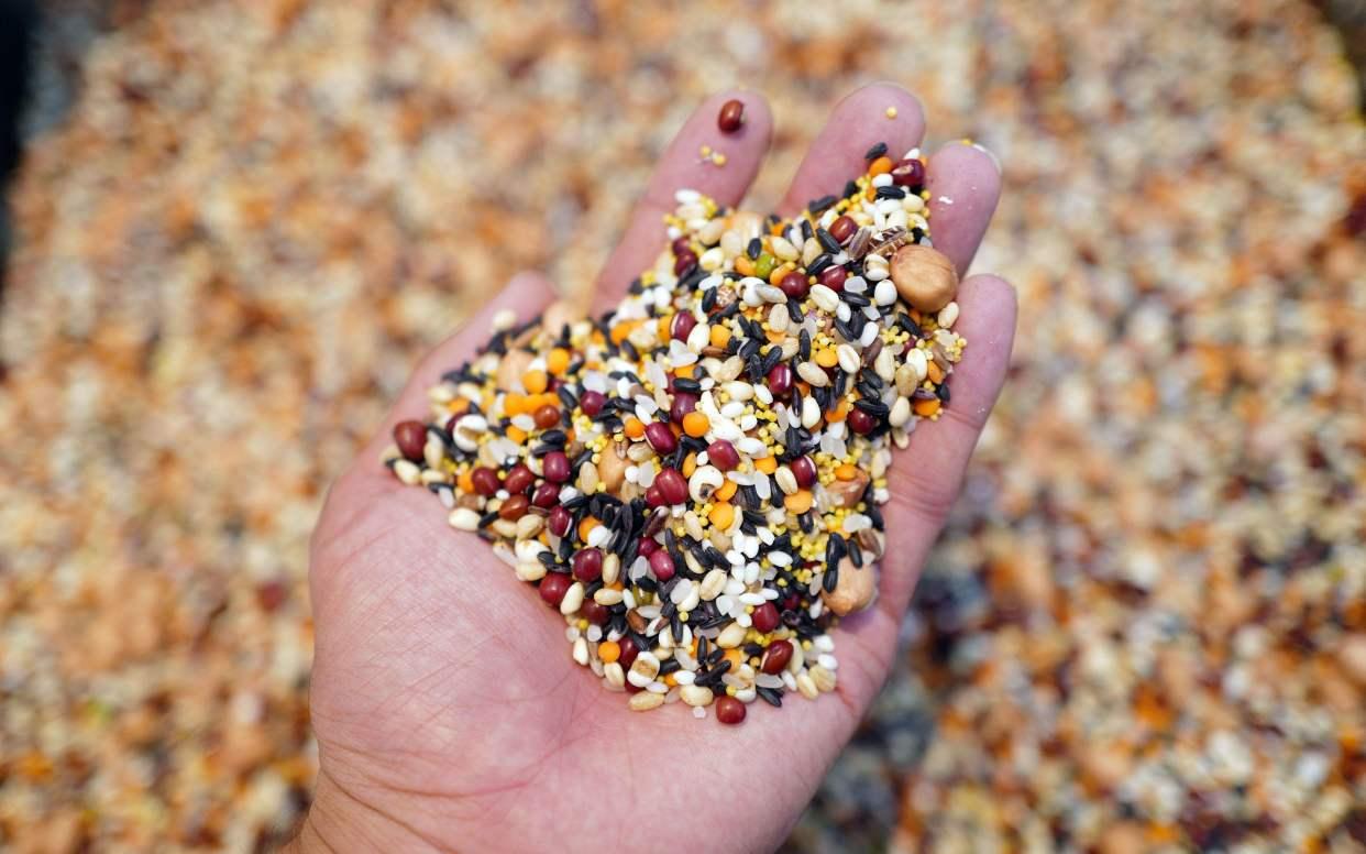 心脏正常心率慢的原因及治疗方法,了解心脏健康先了解心率