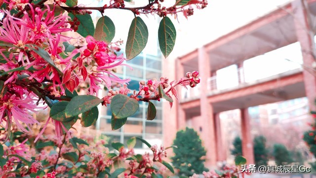 南昌航空职业技术学院王牌专业,南昌航空大学苏区专项计划专业