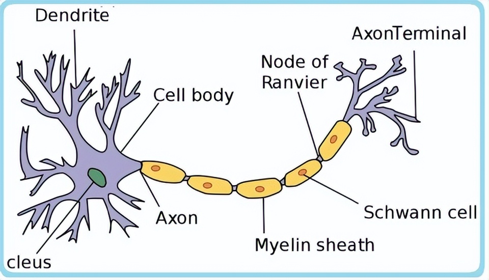 神经网络图像识别,深度神经网络图像识别技术