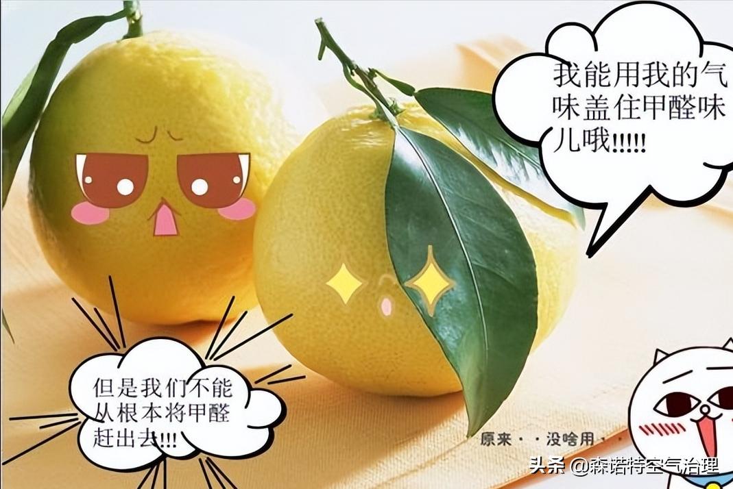 去甲醛的最有效的方法是什么,快速去甲醛最有效的方法有哪些