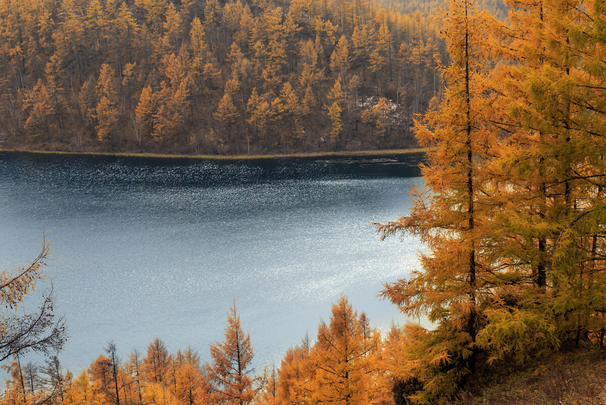 古方巧用，头痛见了绕道走