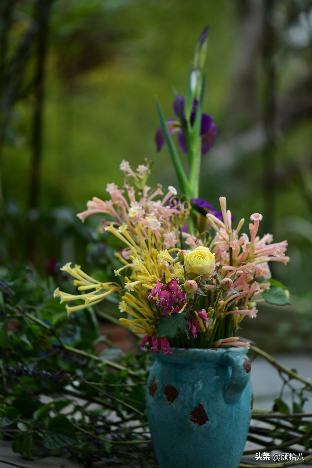 天冷怎么注意植物冻死,植物怕冷怎么过冬