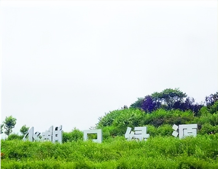 日企在山东租良田1500亩造就的“朝日农场”，五年不种有何居心？