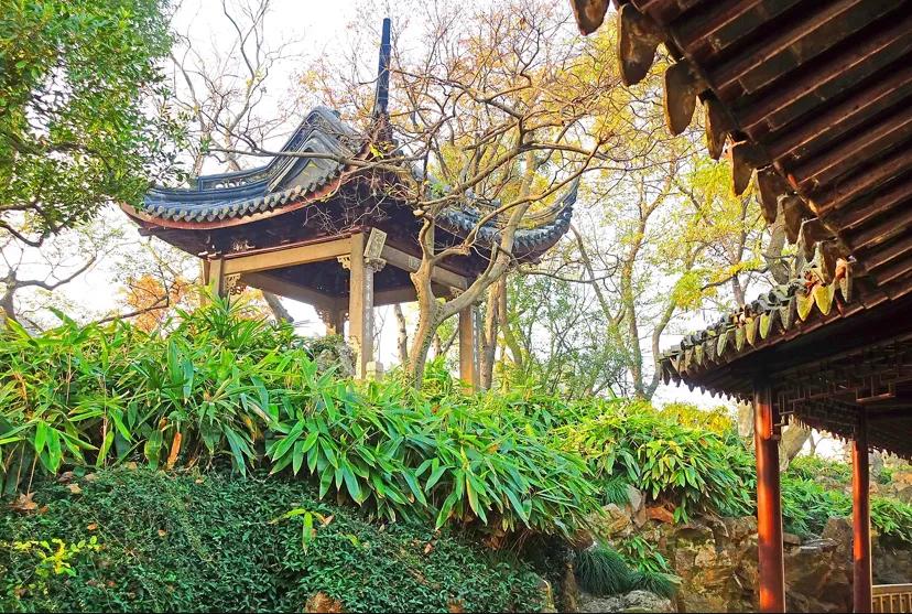 苏州古典园林世界文化遗产介绍,苏州古典园林世界文化遗产