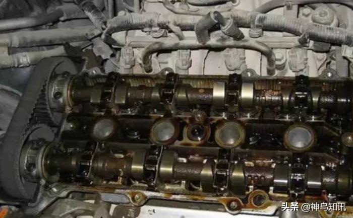 烧伤928天后重生的女孩,24岁女孩曾遇汽车自燃三度烧伤