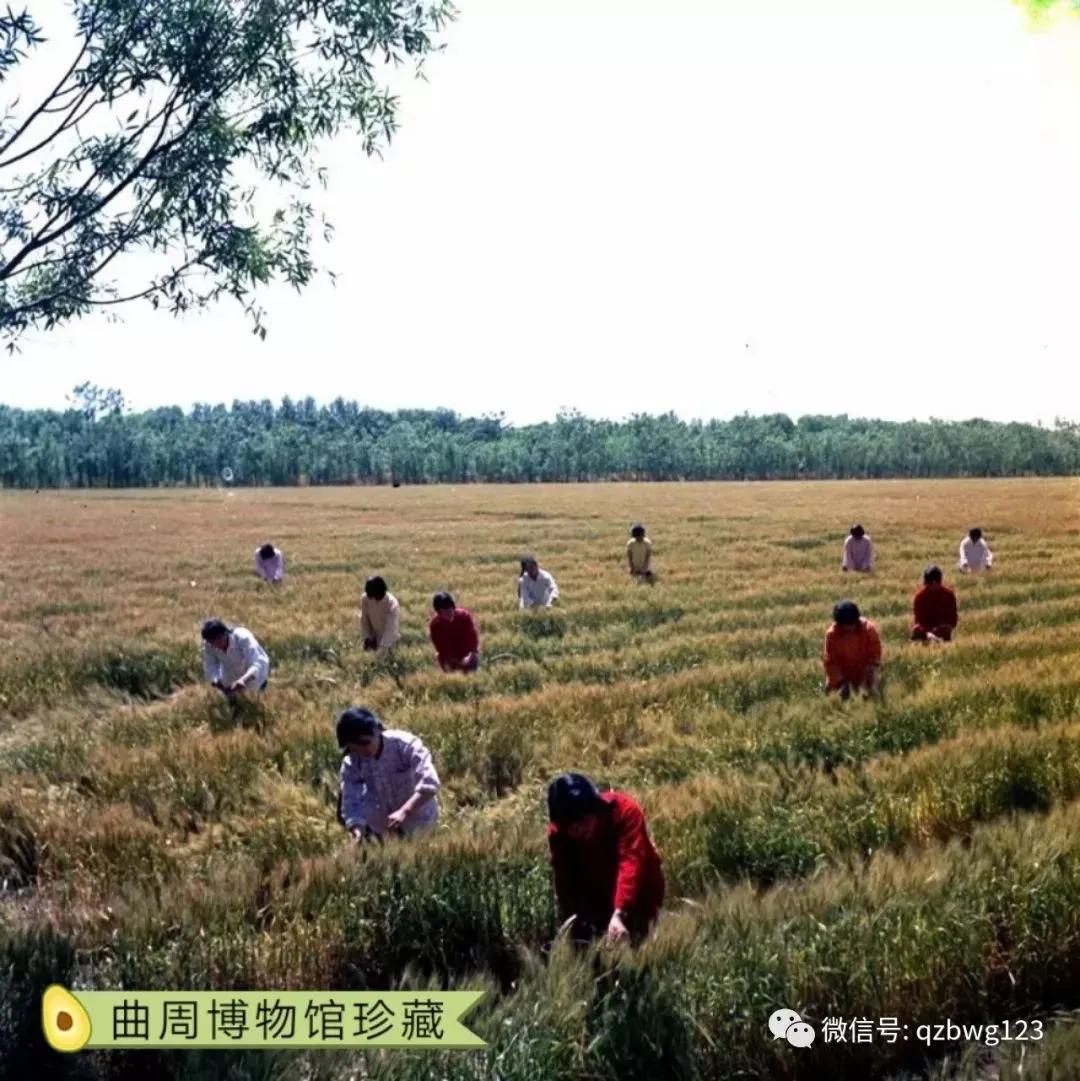 gdp的高低与国民幸福指数的关系,经济发展指数活力指数幸福指数