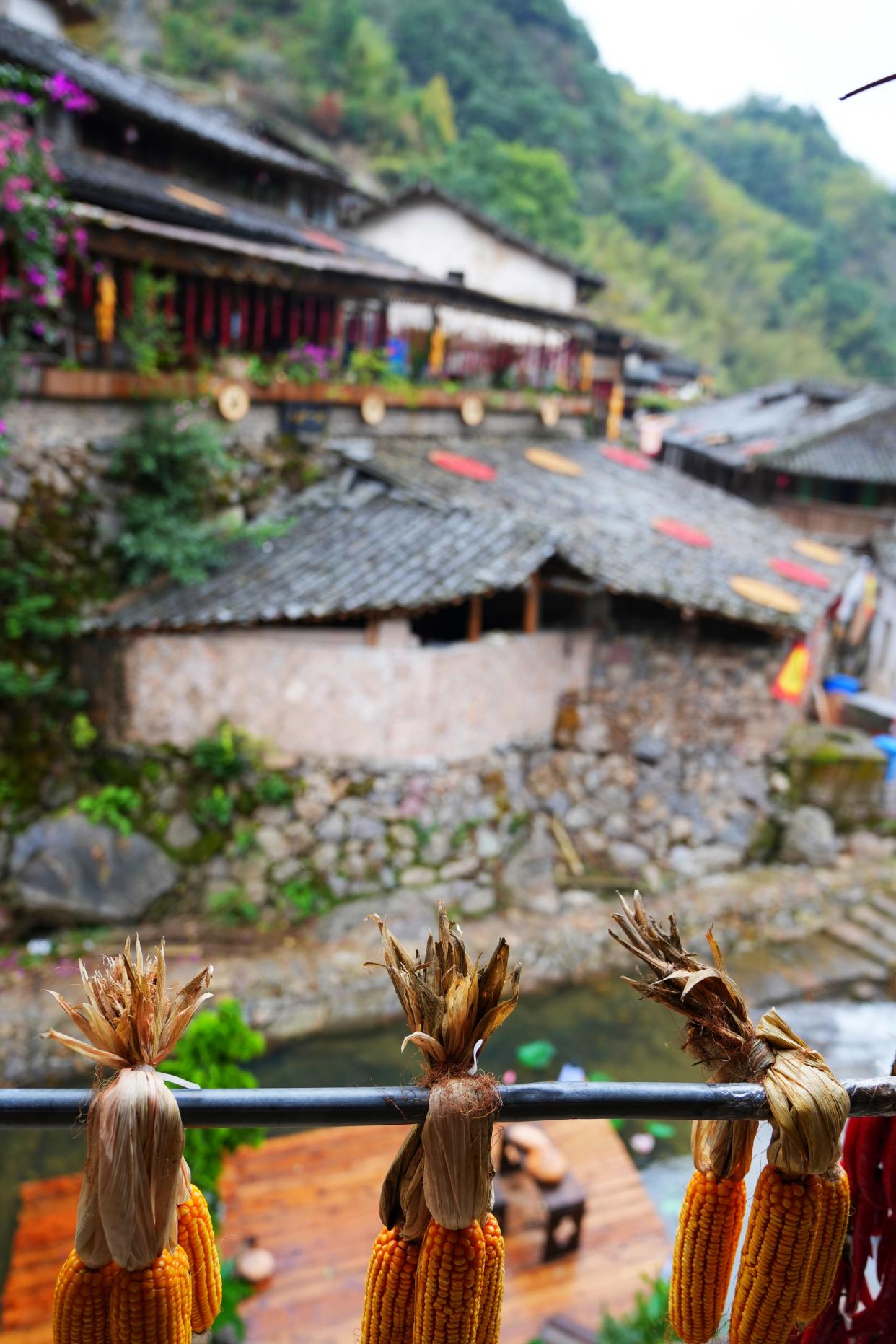 温州山区旅游,温州最美大山古村落