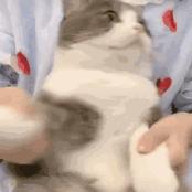 录制视频?全面好用的录屏软件推荐