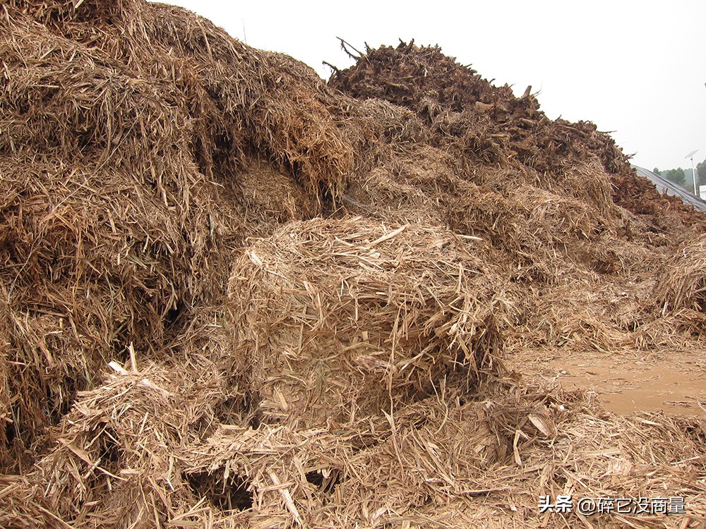 农林生物质发电前景,生物质发电前景广阔