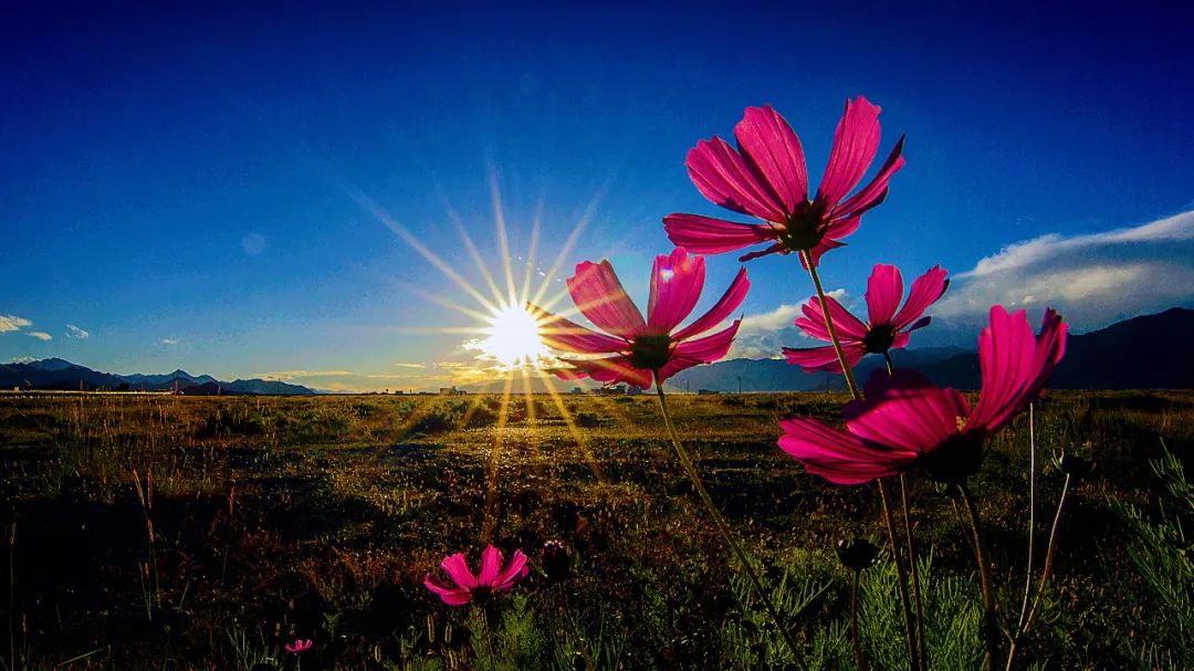 坤鹏论：读《泰阿泰德篇》探究知识是什么（四十三）