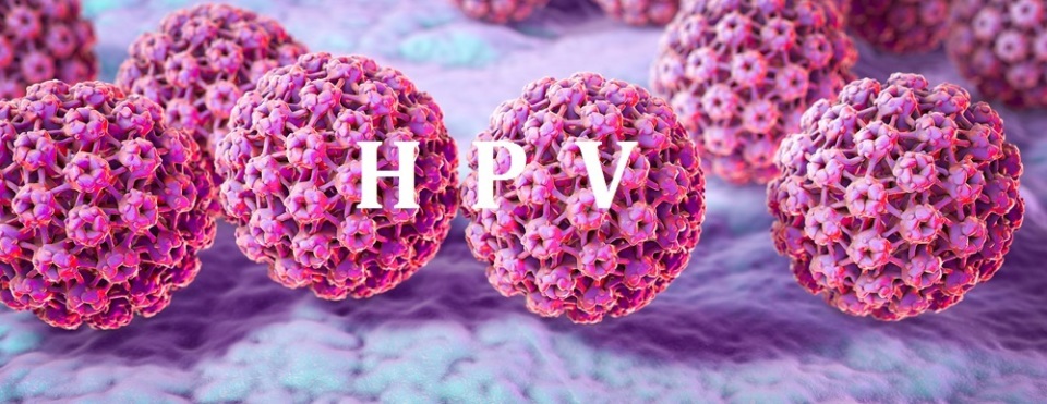 为什么2岁男童也会感染人类乳头瘤病毒？
