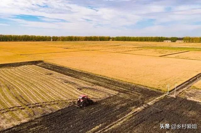 中央100亿补助农民如何下发的,目前中央决定对农民补助多少钱