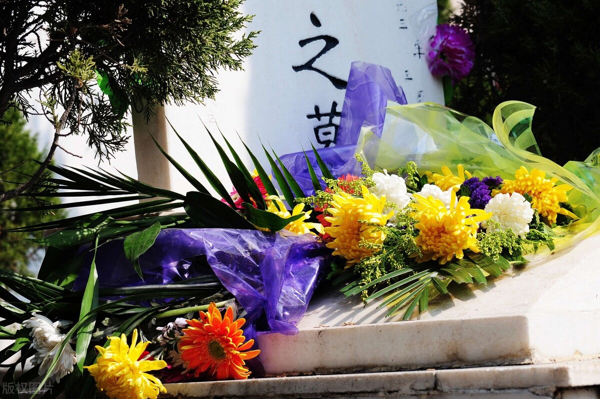 ​殡葬、化妆品都靠边站，论文买卖才是真正暴利的生意