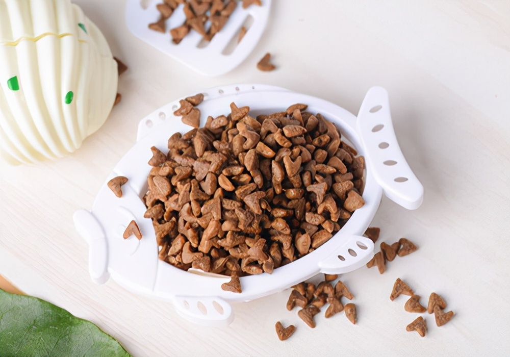 养狗狗没耐心怎么办,养狗狗不想养了怎么办