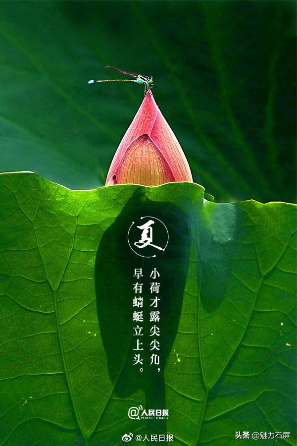 古诗词夏日美景,当夏日美景遇上古诗词怎么写