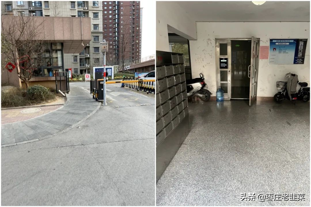 青铜还是王者？东湖片区物业服务调研报告