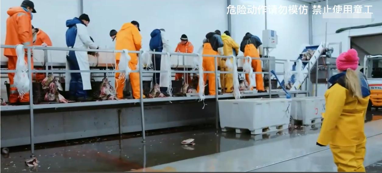 这就是挪威人的童年：10岁就可以靠自己买游艇，中国小孩羡慕哭了