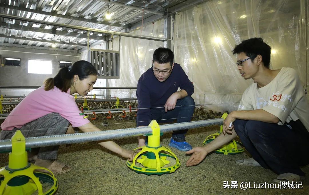 跟着广播看乡村,跟着老乡看乡村振兴