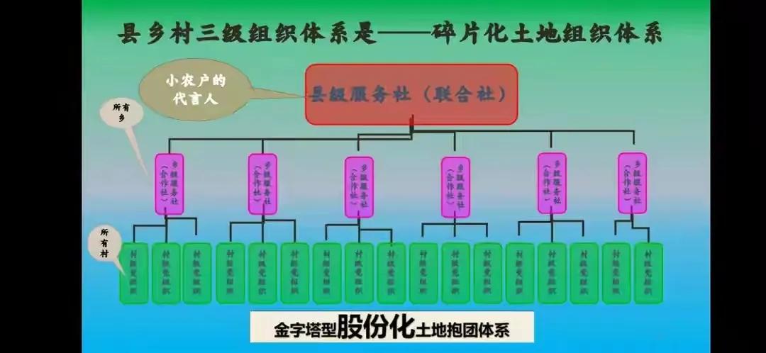 现代化农业生产经营模式,农业农村托管新模式