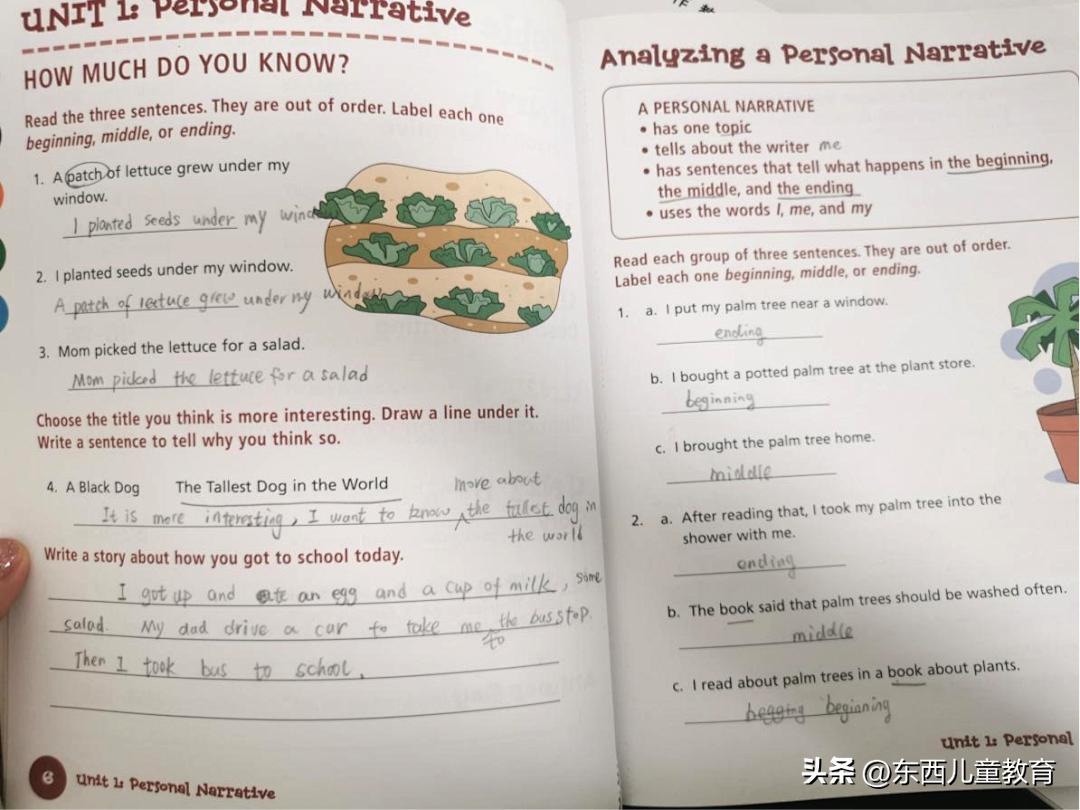 大牌就一定好吗？测评了4套教辅巨头的英文写作书，结果尴尬了…