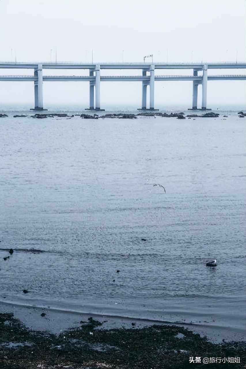 夏日海边浪漫迷人,滨城风光秀丽浪漫气息爆表