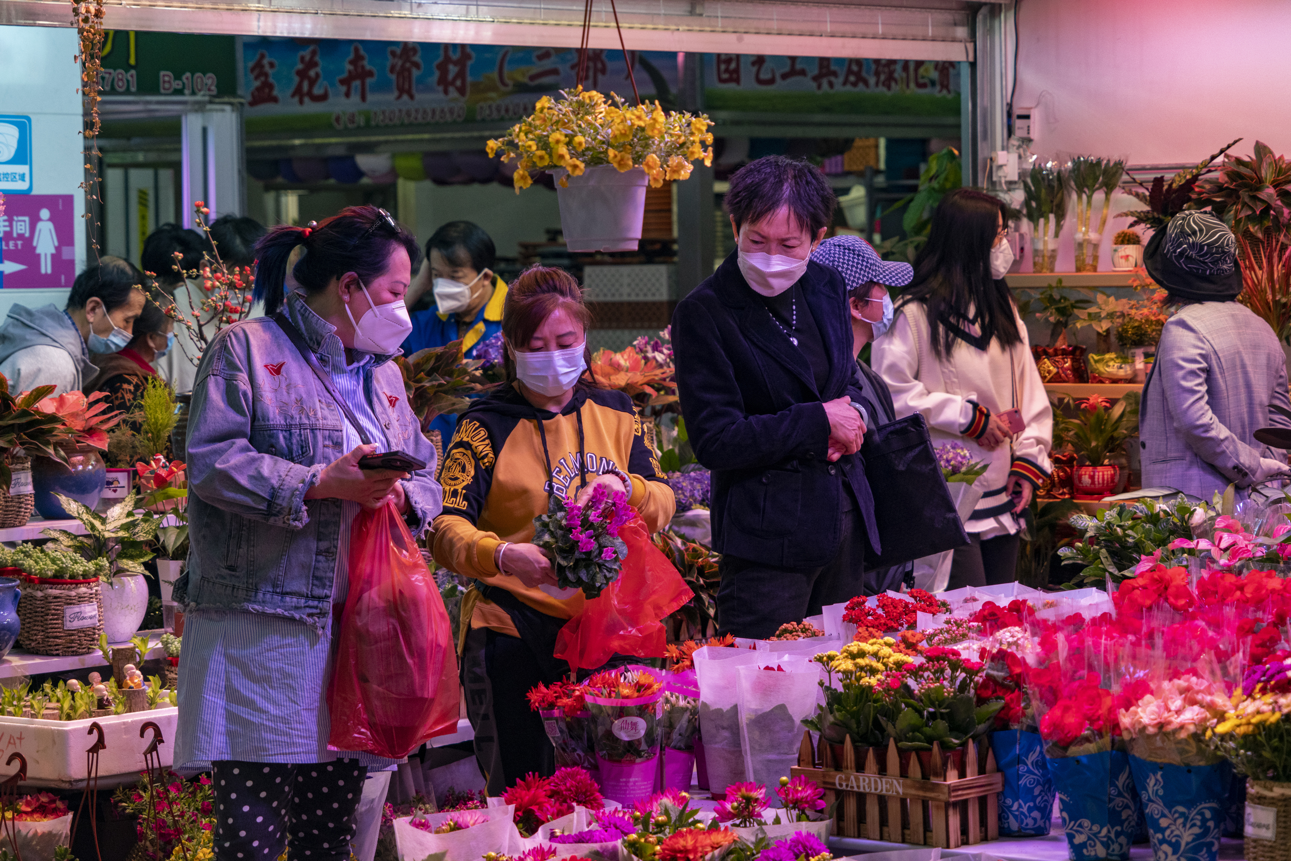 沈阳老北市场花鱼市场开业了吗,沈阳老北市场花鱼