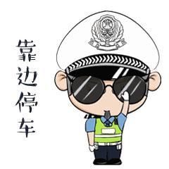 新车提到手，女子对交警说：一个月就能拿驾照了！