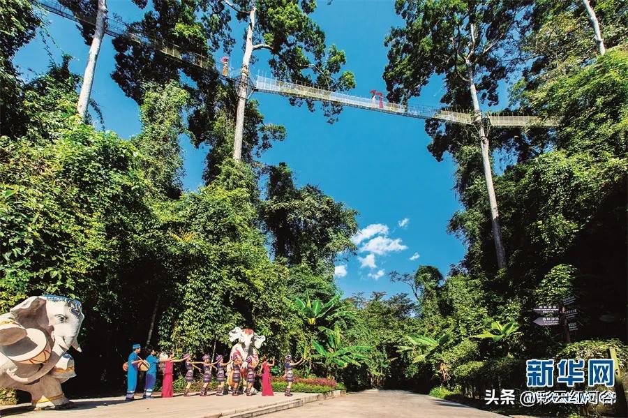 景洪夜景最好的地方,景洪边境是在什么地方