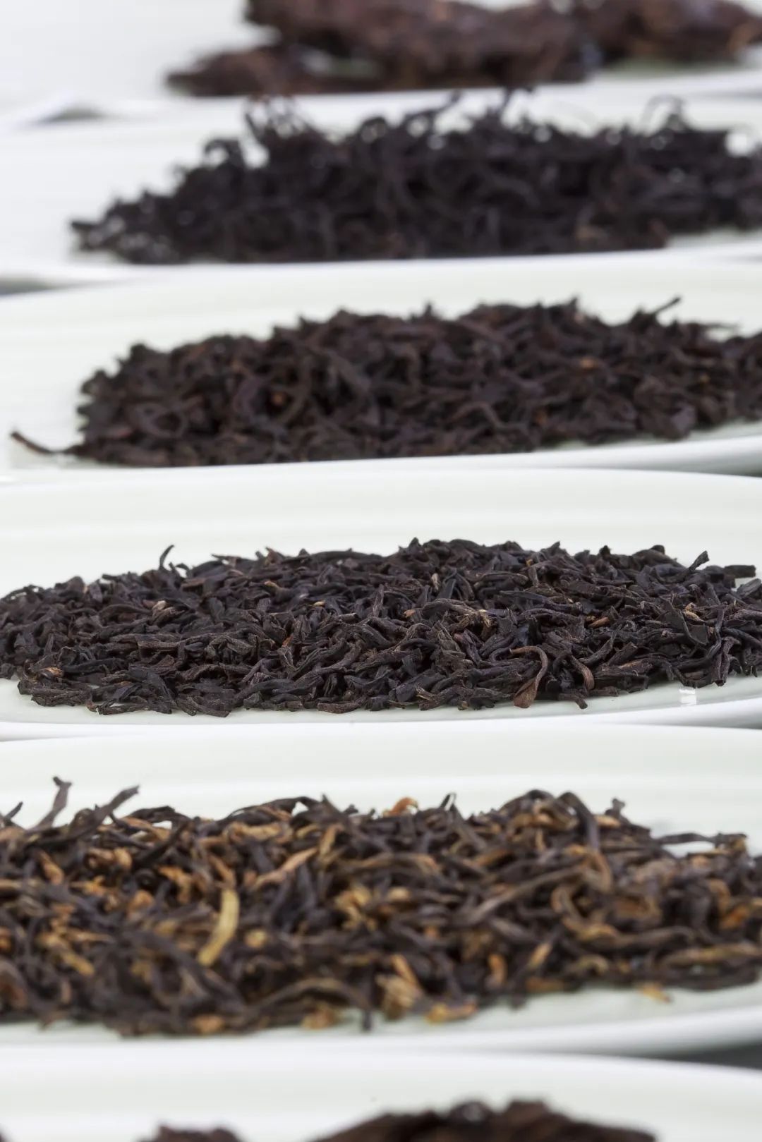 中国最好喝啤酒城市,全国最难喝的城市